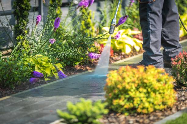 Best Machinery and Equipment Cleaning  in West Park, FL