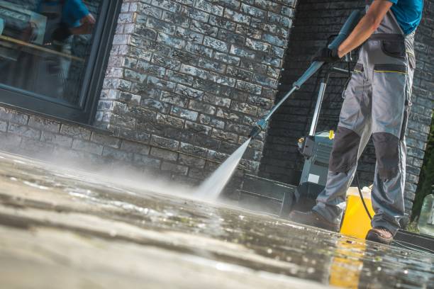 Best Roof Washing  in West Park, FL