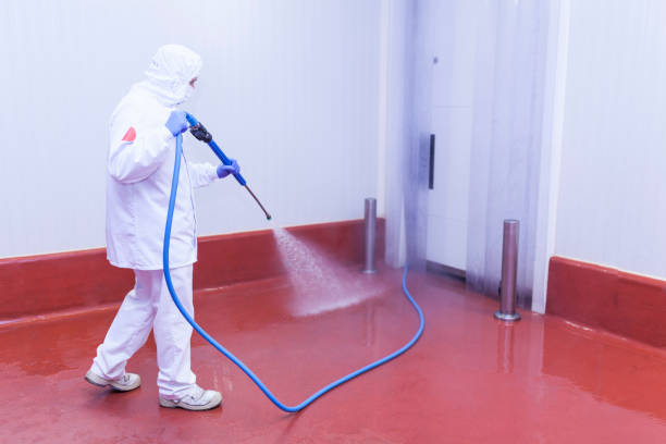 Best Building Exterior Washing  in West Park, FL